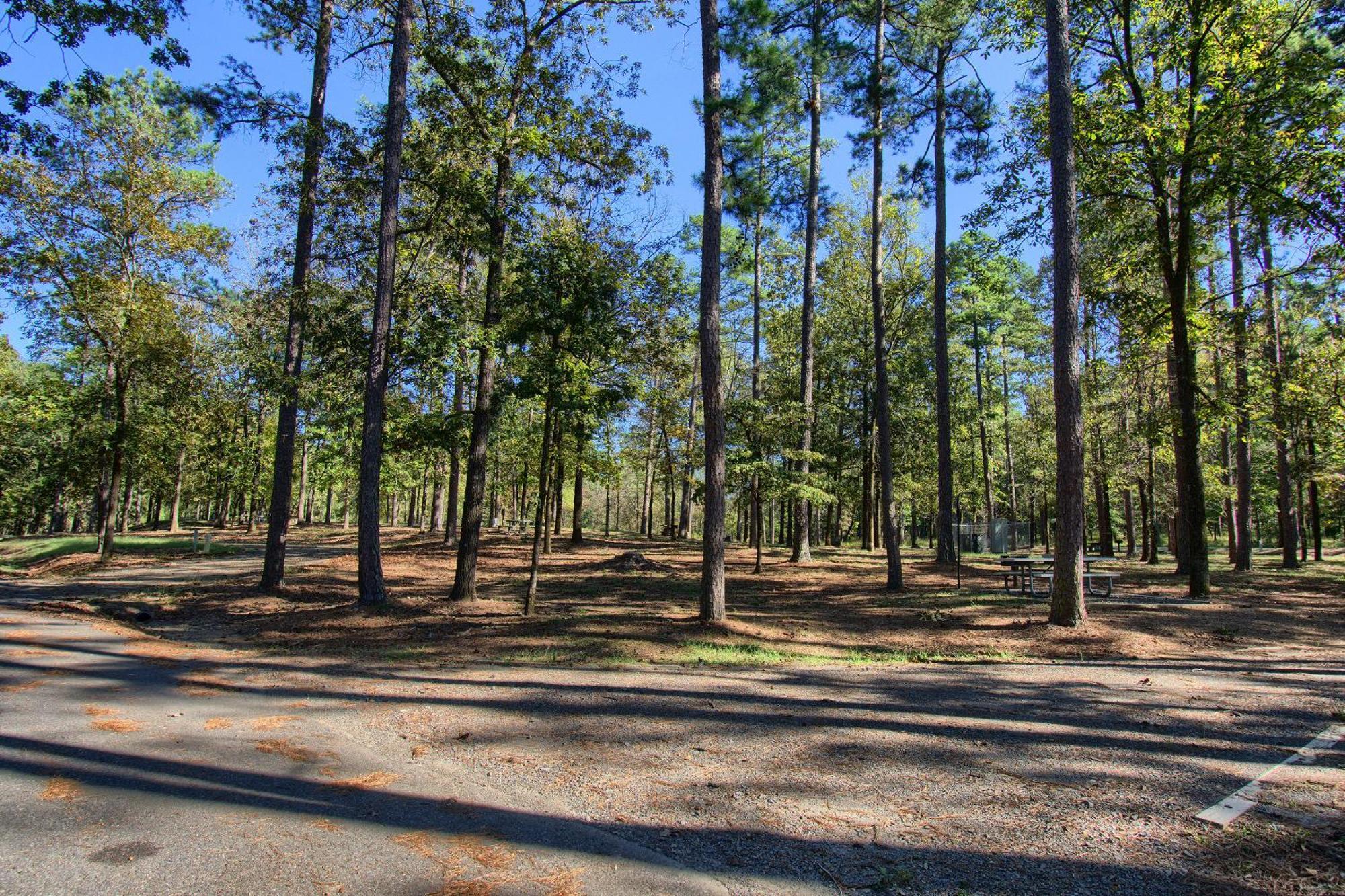 The Americana - Parker Creek Bend Cabins مورفريسبورو المظهر الخارجي الصورة