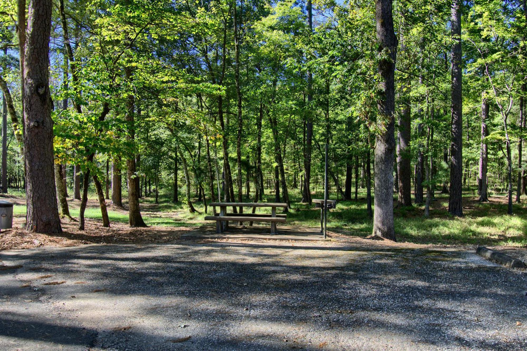 The Americana - Parker Creek Bend Cabins مورفريسبورو المظهر الخارجي الصورة